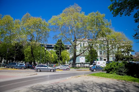 img_3720_large.jpg